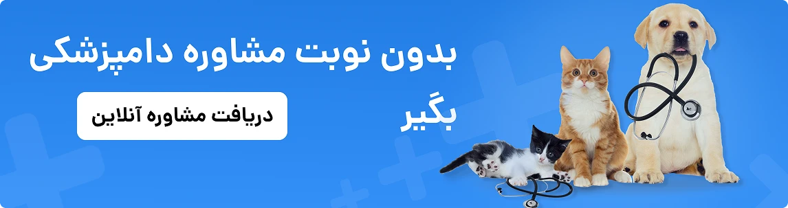 صفحه مراکز دامپزشکی نزدیک به شما روی نقشه