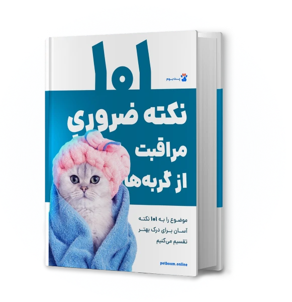 کتاب الکترونیکی 101 نکته ضروری برای مراقبت از گربهها!