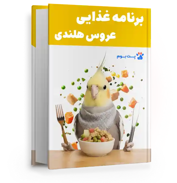 فایل برنامه غذایی عروس هلندی سالم برای تمام سنین و هر شرایطی!