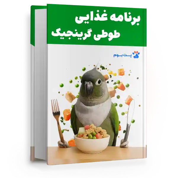  فایل برنامه غذایی طوطی گرینجیک سالم برای تمام سنین و هر شرایطی!

        width=