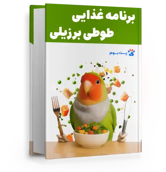  فایل برنامه غذایی طوطی برزیلی سالم برای تمام سنین و هر شرایطی!

        width=