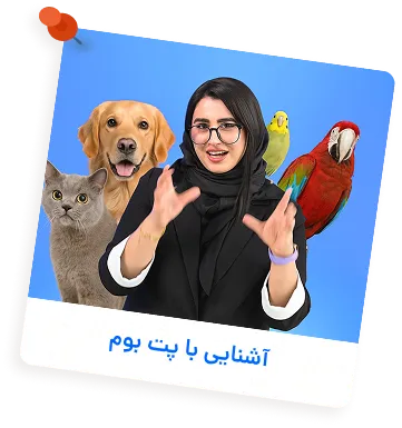 تیم پت بوم