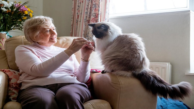 نگهداری از حیوانات خانگی برای افراد مسن