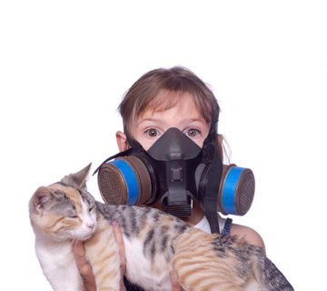 علت ایجاد بوی بد گربه