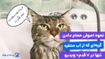 آموزش اصولی حمام کردن گربه‌‌ای که از آب متنفره تنها در 7 قدم!