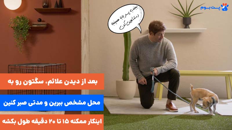 بعد از دیدن علائم، سگتون رو به محل مشخص ببرین و مدتی صبر کنین؛ اینکار ممکنه 15 تا 20 دقیقه طول بکشه