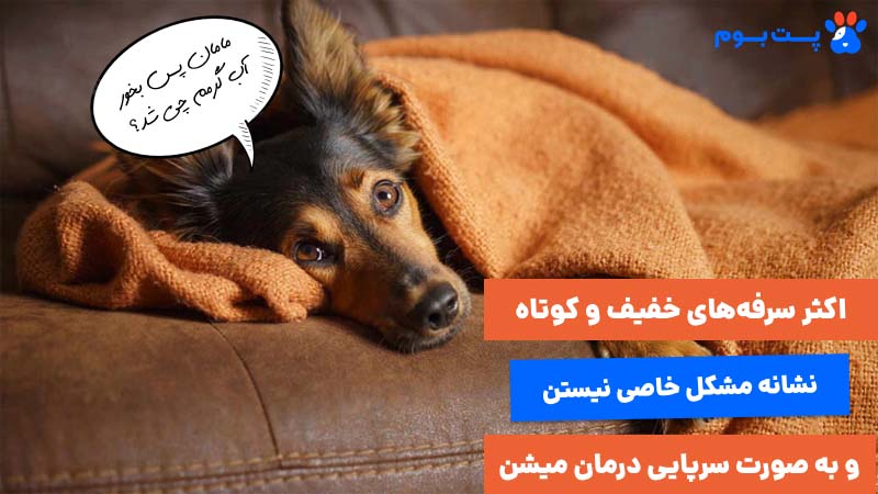 اکثر سرفههای خفیف و کوتاه نشانه مشکل خاصی نیستن و به صورت سرپایی درمان میشن