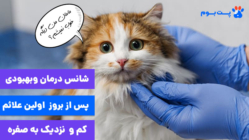 شانس درمان و بهبودی پس از بروز اولین علائم کم و نزدیک به صفره