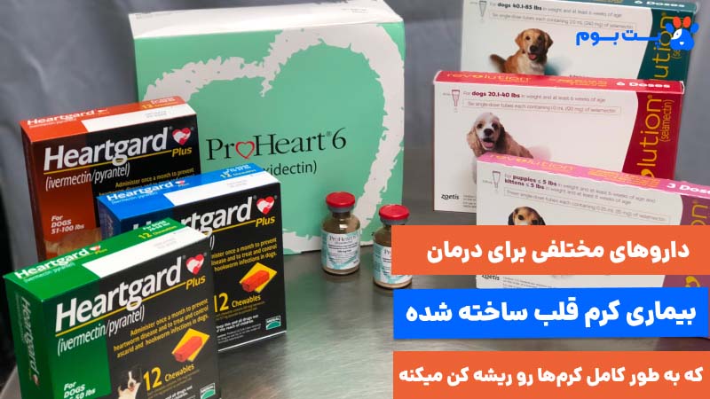 داروهای مختلفی برای درمان بیماری کرم قلب ساخته شده که به طور کامل کرمها رو ریشه کن میکنه