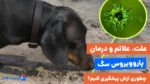 سیر تا پیاز بیماری پاروویروس سگ؛ از علائم تا 4 روش پیشگیری از آن!
