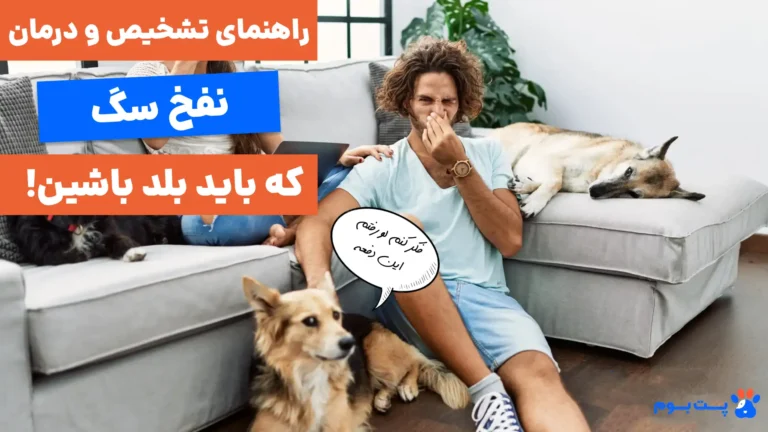 راهنمای تشخیص و درمان نفخ سگ و توله سگ