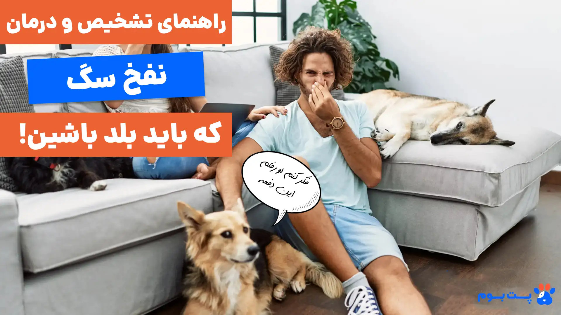 راهنمای جامع تشخیص و درمان نفخ سگ