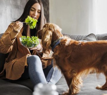 کاهو برای سگ