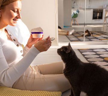 ماست برای گربه