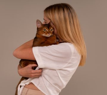 چگونه گربه را بغل کنیم