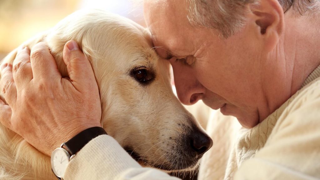 مراقبت از سگ بیمار با عشق