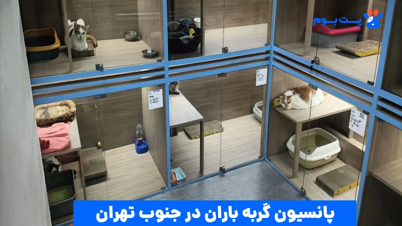 هتل و پانسیون گربه