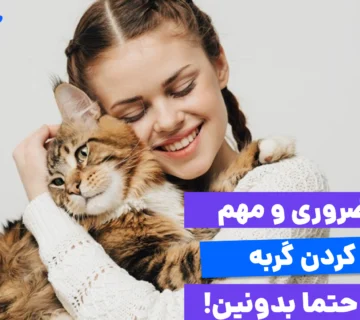 رای بغل کردن گربه عجله نکنید و صبر کنید تا خودش به سمت شما بیاید. گربهها نیاز به احساس امنیت اولیه دارند.