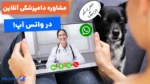 دامپزشک آنلاین در واتس اپ چیه و چطور می‌تونیم ازش استفاده کنیم؟