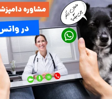 دامپزشک آنلاین در واتس آپ