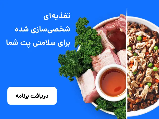 برنامه غذایی پت بوم