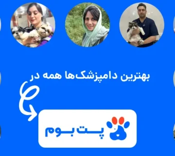 بهترین دامپزشک های ایران همه در پت بوم