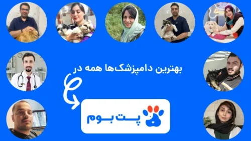 بهترین دامپزشک های ایران همه در پت بوم