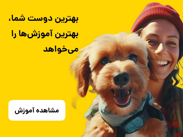 آموزشگاه پت بوم