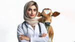 دامپزشک گاو | مشاوره سریع با دامپزشک