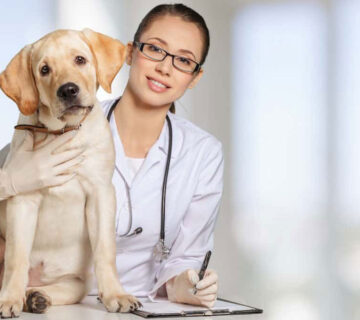 بهترین دامپزشک اینترنتی