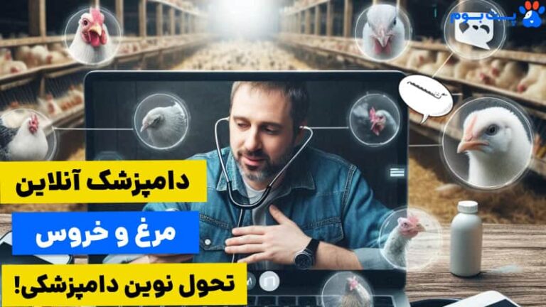 دامپزشک مرغ و خروس؛ مشاوره تخصصی برای پرنده شما!