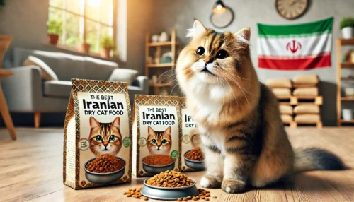 بهترین غذای خشک گربه ایرانی