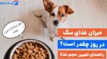 راهنمای جامع حجم غذای سگ؛ میزان غذای سگ در روز چقدر است؟