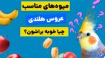 عروس هلندی چه میوه ای میخوره؟