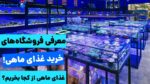 غذای ماهی از کجا بخریم؟ معرفی 7 فروشگاه معتبر غذای ماهی!