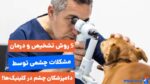 5  روش تخصصی دامپزشک چشم برای تشخیص و درمان بیماری‌های چشمی حیوانات