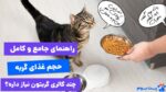 راهنمای کامل حجم غذای گربه، چه مقدار غذا به گربه بدیم؟