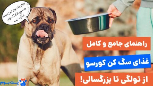 سیر تا پیاز غذای سگ کن کورسو