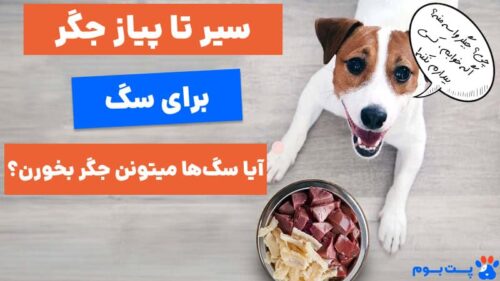سیر تا پیاز جگر غذای سگ