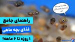 غذای ماهی نوزاد یک روزه تا 6 ماهه+ نکات مراقبتی!