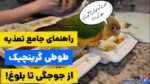 راهنمای جامع غذای طوطی گرینچیک از جوجگی تا بزرگسالی!