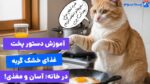 4 روش تهیه غذای خشک گربه در خانه؛ ساده و مغذی!