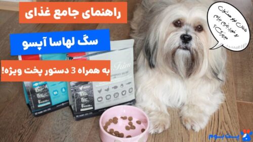 راهنمای جامع و کامل غذای سگ لهاسا آپسو