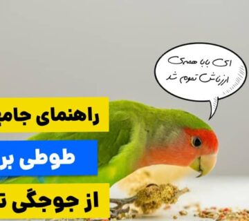 سیر تا پیاز غذای طوطی برزیلی از جوجگی تا بزرگسالی