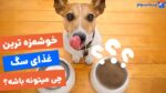 چطور خوشمزه ترین غذای سگ رو پیدا کنیم؟ معرفی 15 غذای خوشمزه!