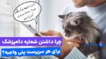 چرا داشتن شماره مشاوره دامپزشکی، برای هر سرپرست پتی لازمه!