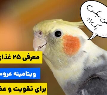 25 غذای ویتامین دار برای عروس هلندی
