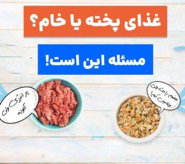 غذای سگ پخته یا خام کدوم بهتره؟