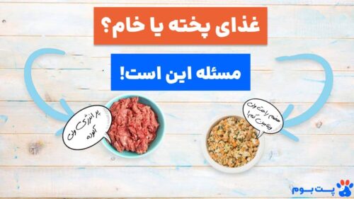 غذای سگ پخته یا خام کدوم بهتره؟