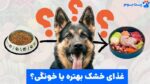 غذای خشک یا خانگی برای سگ: کدام انتخاب بهتری است؟